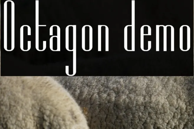 Octagon demo Example 1