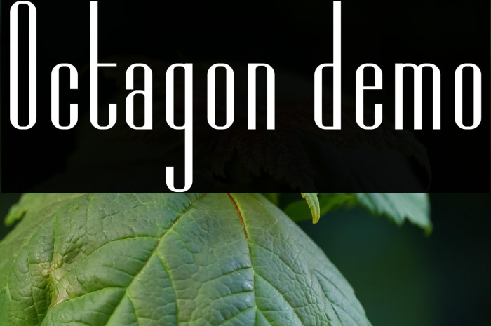 Octagon demo Example 3