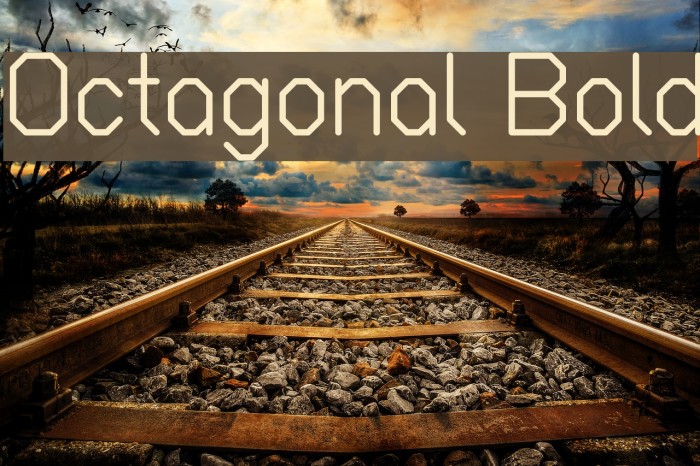 Octagonal Bold Font examples