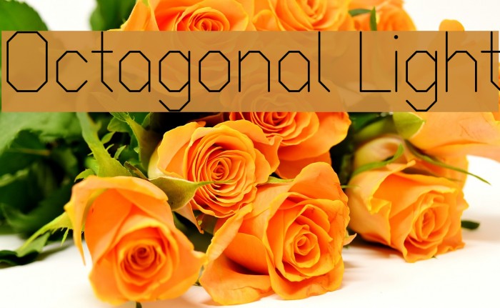 Octagonal Light Font examples