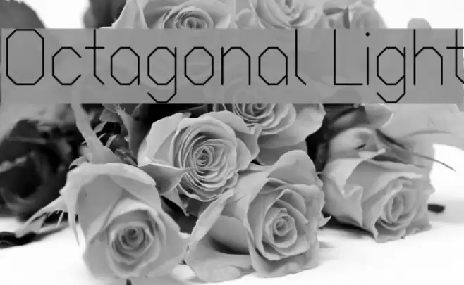 Octagonal Light Font examples