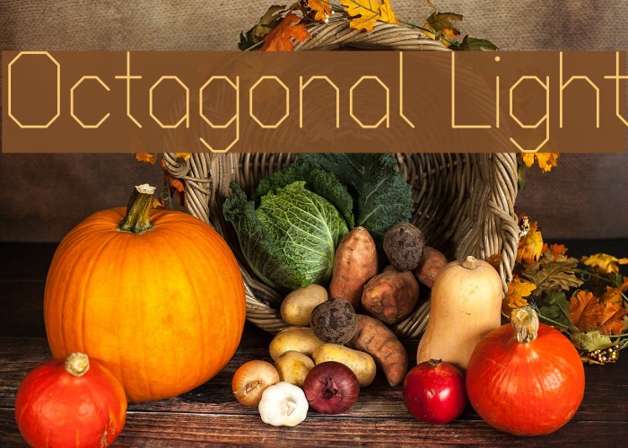 Octagonal Light Font examples