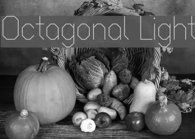 Octagonal Light Font examples