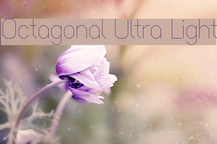 Octagonal Ultra Light Font examples