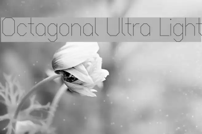 Octagonal Ultra Light フォント examples