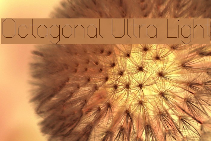 Octagonal Ultra Light Font examples