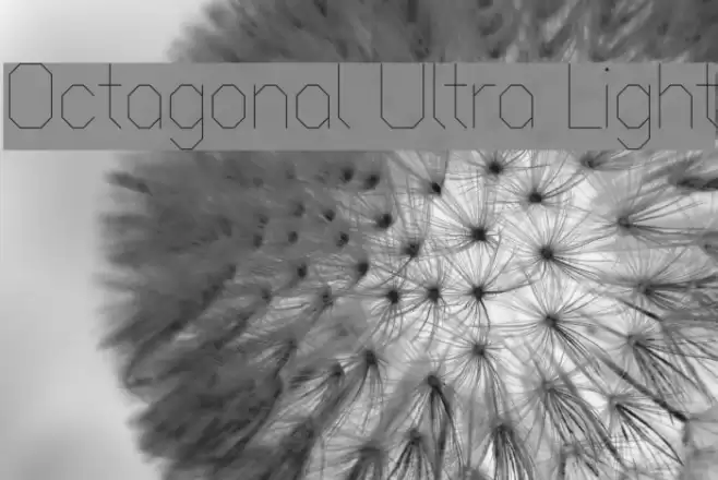 Octagonal Ultra Light フォント examples