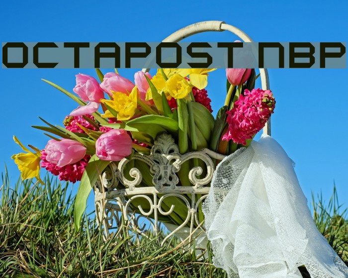Octapost NBP Font examples