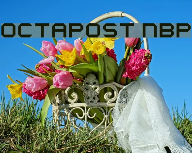 Octapost NBP Example 3