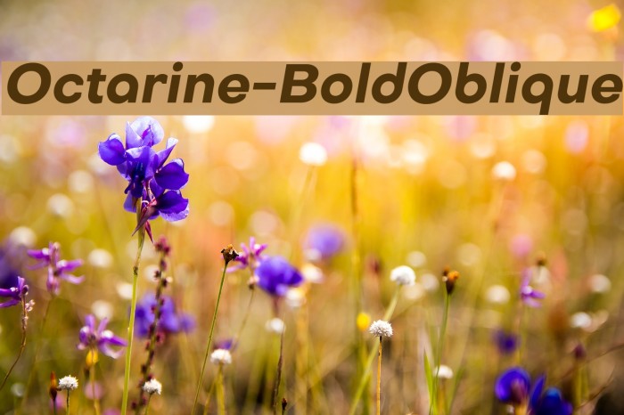 Octarine-BoldOblique Font examples