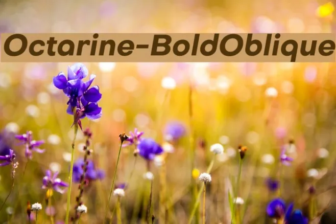 Octarine-BoldOblique Example 1