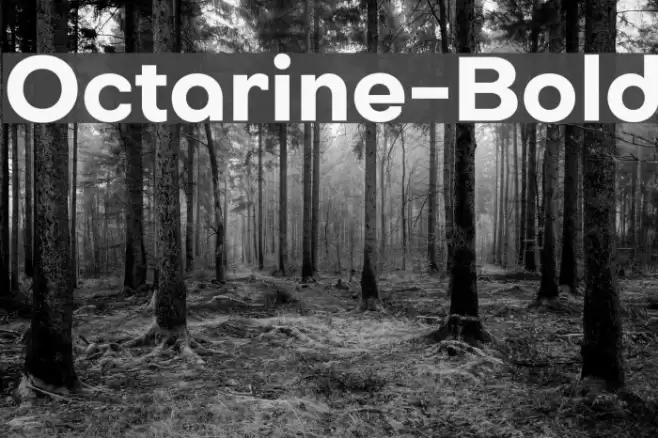 Octarine-Bold Font examples