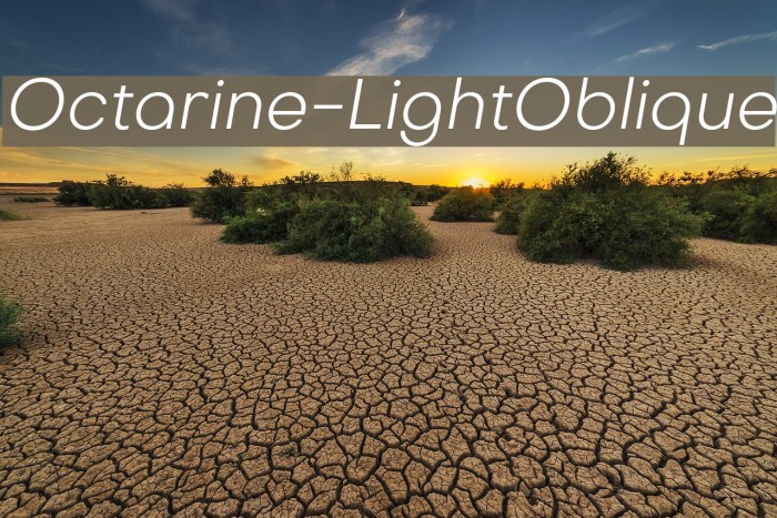 Octarine-LightOblique Font examples