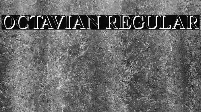 Octavian Regular Example 3
