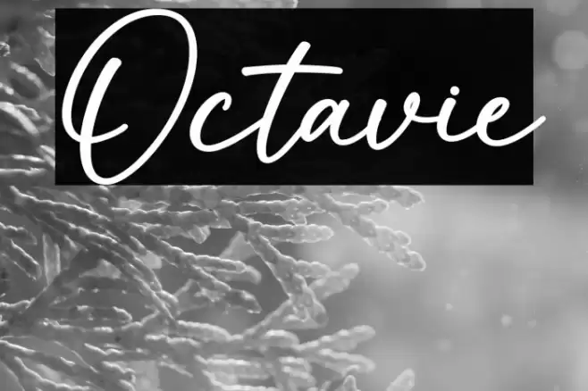 Octavie 字体 examples