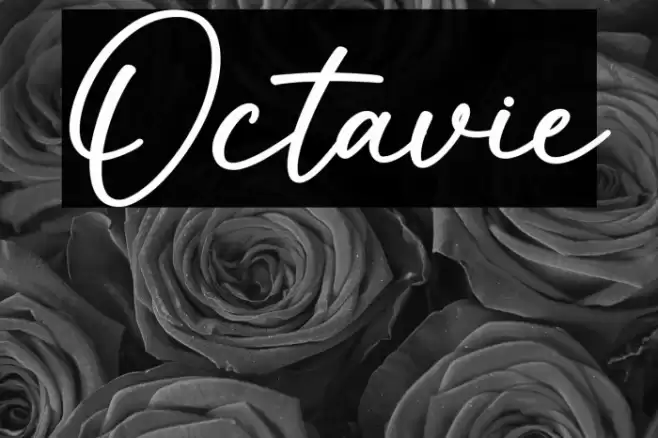 Octavie 字体 examples