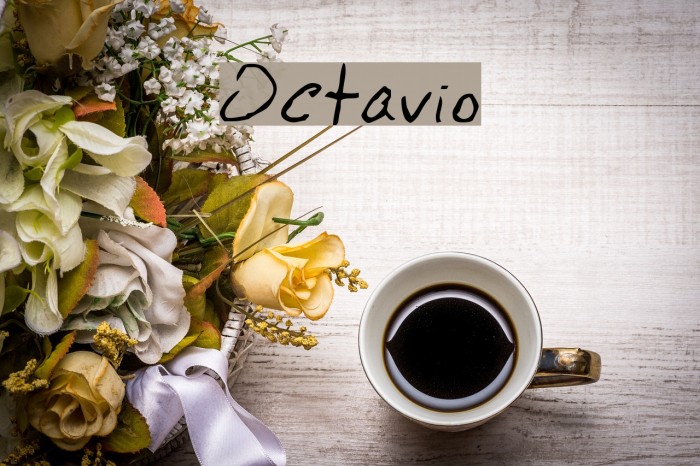Octavio Font examples