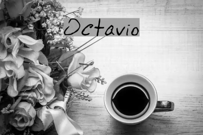 Octavio Fonte examples