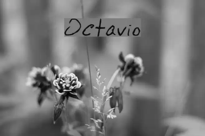 Octavio Fonte examples