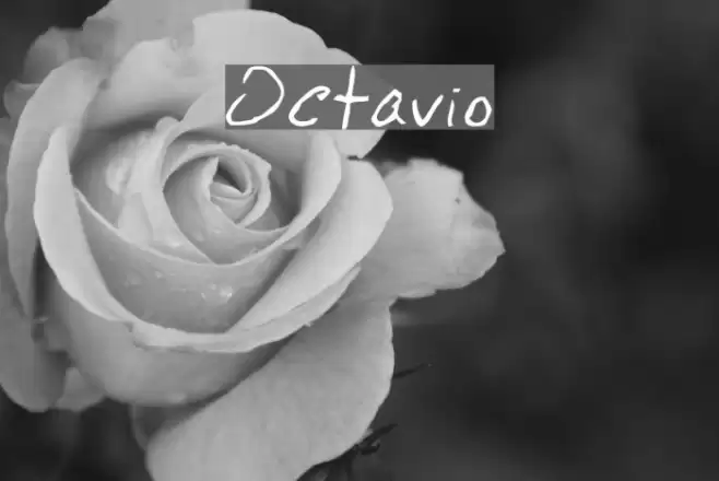 Octavio Fonte examples