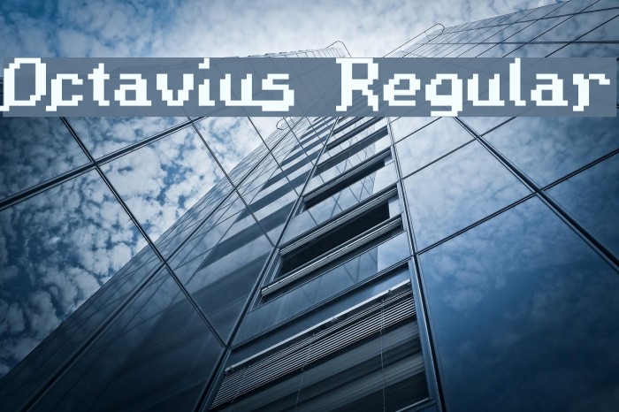 Octavius Regular Example 3