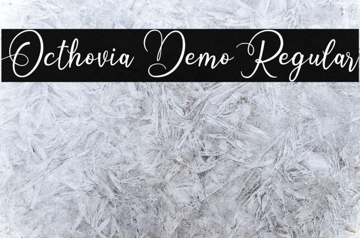 Octhovia Demo Regular Font examples