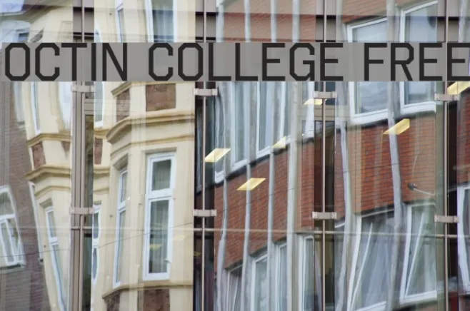 Octin College Free Example 3