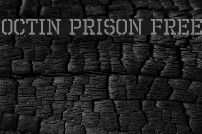 Octin Prison Free Fonte examples