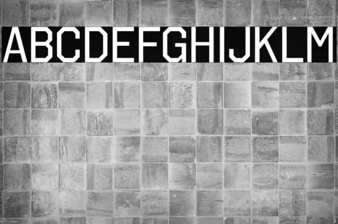 OctinCollegeRg-Regular Font examples