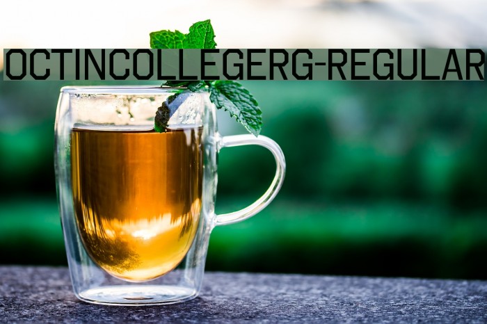 OctinCollegeRg-Regular Font examples