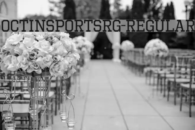 OctinSportsRg-Regular Font examples