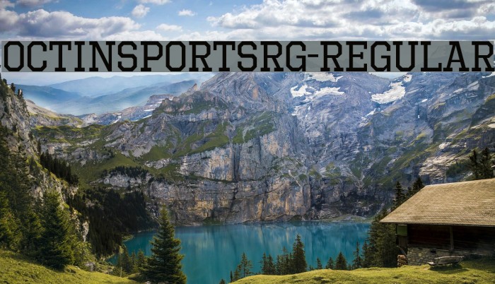 OctinSportsRg-Regular Polices examples