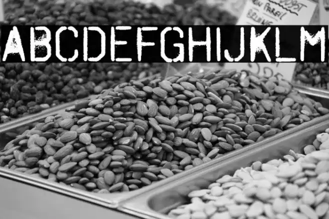 OctinSpraypaintARg-Regular Polices examples