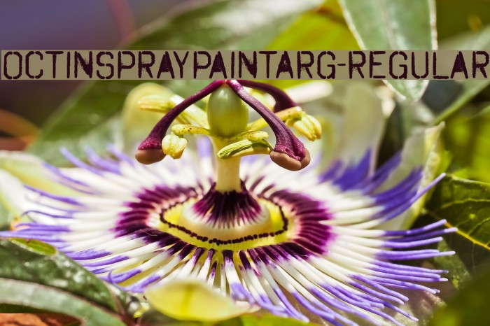 OctinSpraypaintARg-Regular Example 3