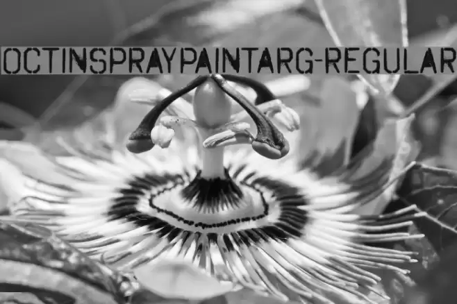 OctinSpraypaintARg-Regular Font examples