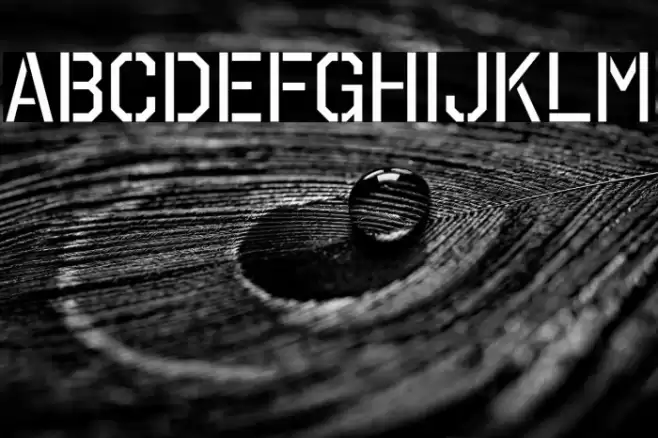 OctinStencilRg-Regular Polices examples