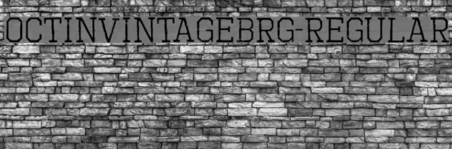 OctinVintageBRg-Regular Polices examples