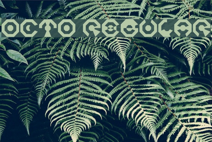 Octo Regular Example 2