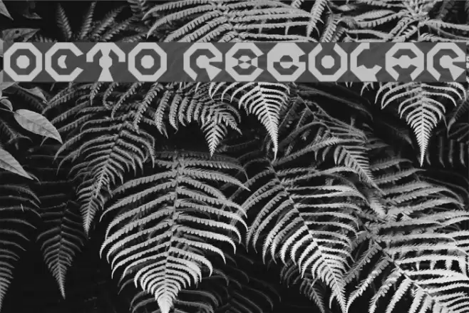 Octo Regular Font examples