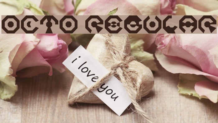 Octo Regular Example 3