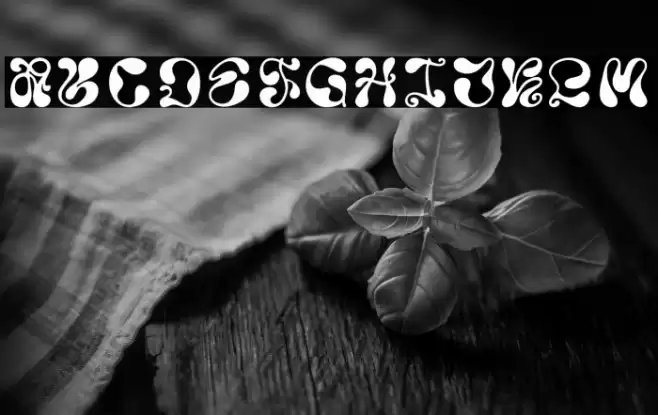 October 1892 Demo Regular Polices examples