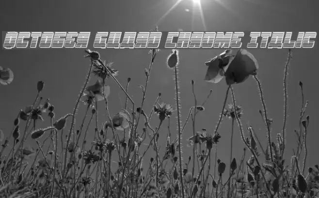 October Guard Chrome Italic Font examples