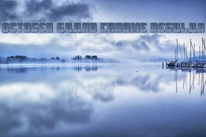 October Guard Chrome Regular Example 2