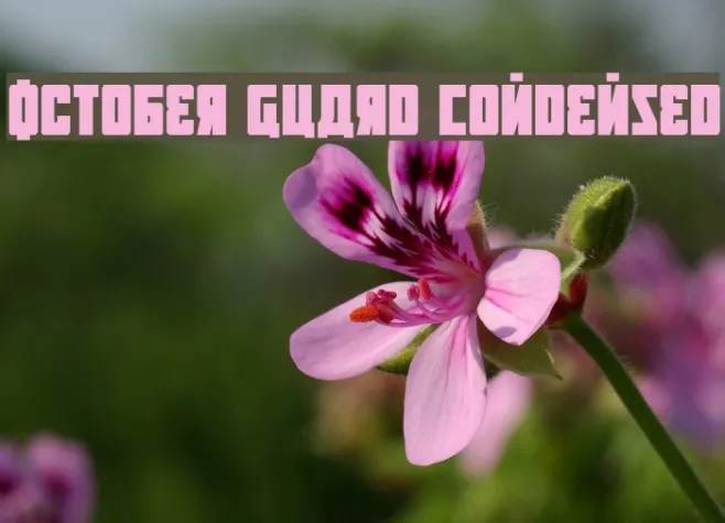 October Guard Condensed Example 2