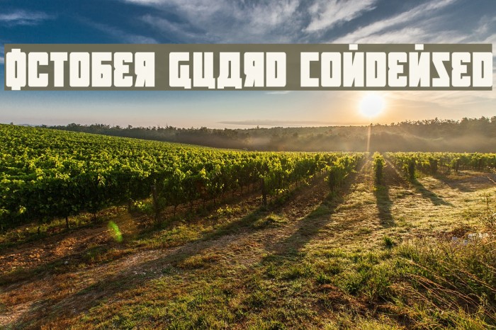 October Guard Condensed Font examples