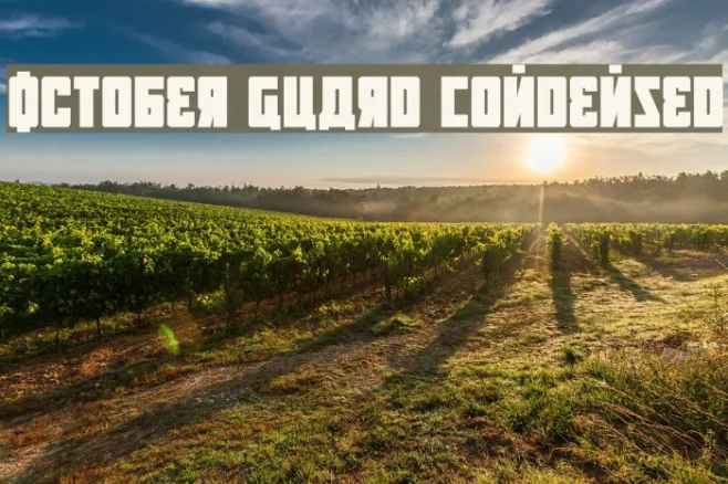 October Guard Condensed Example 3