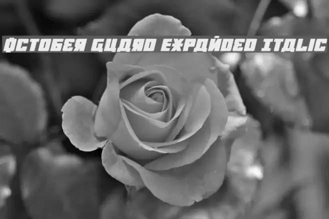 October Guard Expanded Italic Font examples