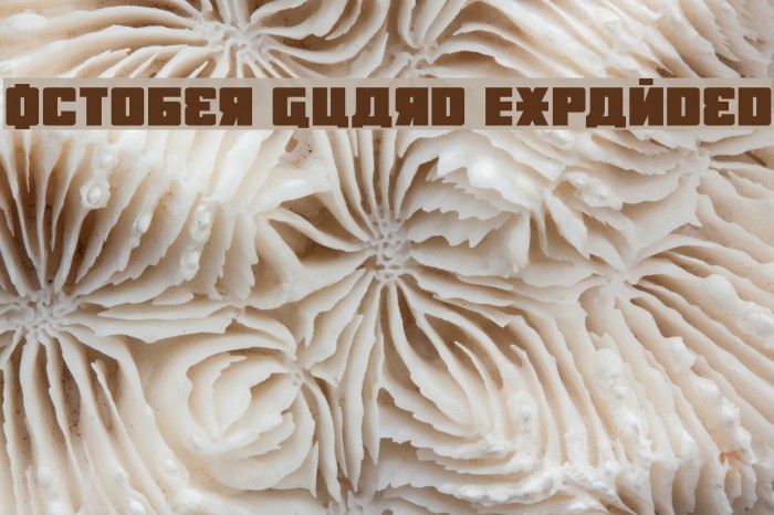 October Guard Expanded Font examples