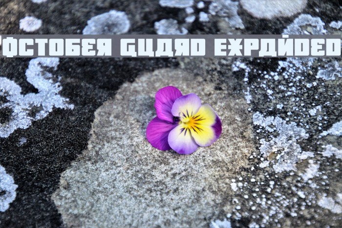 October Guard Expanded Font examples