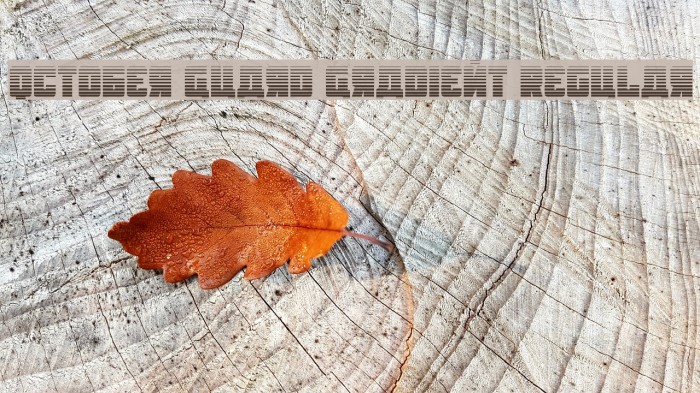 October Guard Gradient Regular Font examples